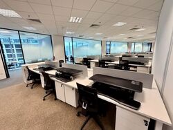 PLUS (D1), Office #538680981